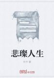 悲璨人生