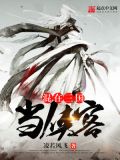 混在三国当侠客 凌若风飞