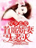 权少惹爱：首席娇妻太惹火