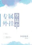 专属外挂登录中