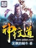 神纹道全文免费阅读