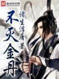 不灭金丹TXT