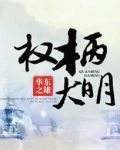 权柄大明笔趣阁