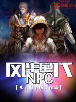 风华绝代NPC小说有几个女人