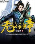 无敌剑帝第二季39集