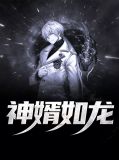 神婿如龙