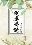 我的娇妻感觉
