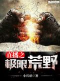 荒野乱斗极限充能购买