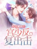小说男主叫宫少霆