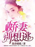 重生娇妻别想逃傅景深