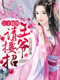 公主嫁到王爷请接招讲的什么
