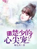 独占爱妻:楚少的心尖宠 小说