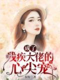 成了残疾大佬的心尖宠 小说