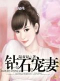 小说钻石宠妻
