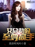 女总裁的至尊高手TXT下载