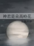 神君是朵高岭花