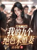 高手下山,我的九个绝色未婚妻
