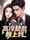 被退婚后，高冷总裁赖上我