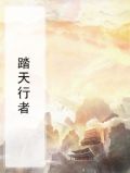 踏行天际