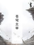 苍穹主宰录