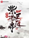 洪荒:我的紫微帝王道