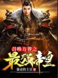 召唤万界之最强帝皇 小说