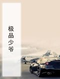 极品少爷