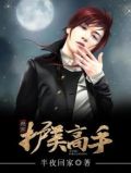 绝世护美高手百度百科