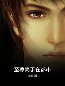 至尊高手在都市全文免费阅读