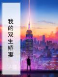 我的双生娇妻