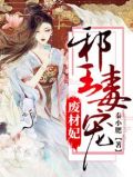 邪王毒宠废材妃 秦小肥