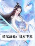 撩妃成瘾邪王