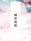 城市线路图片