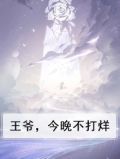 王爷,今晚不打烊