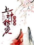 上神独宠小娇娇小说