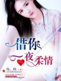 借你一晚情深宁西大结局