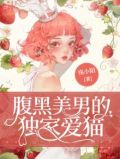 腹黑男人小说