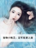 宠物小精灵历代冠军