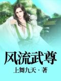 风流天尊下载