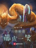 关于藤虎一笑的小说