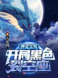 穿越神奇宝贝裂空座