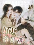 娇妻你好甜第十七章