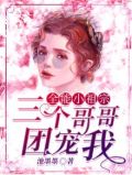 全能小祖宗三个哥哥团宠我小说