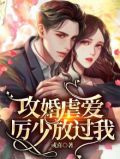 攻婚掠爱老公不许动