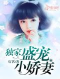 总裁盛宠小娇妻电视剧