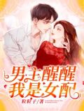 男主醒醒我是男配百度网盘