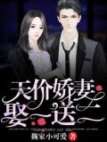 天价宠妻买一送一免费阅读