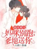 萌宝助攻傲娇爹地妈咪求娶 小说