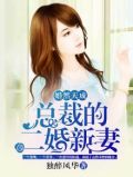 总裁的二婚新娘