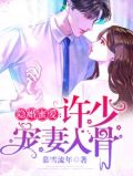 许少的隐婚甜妻简介